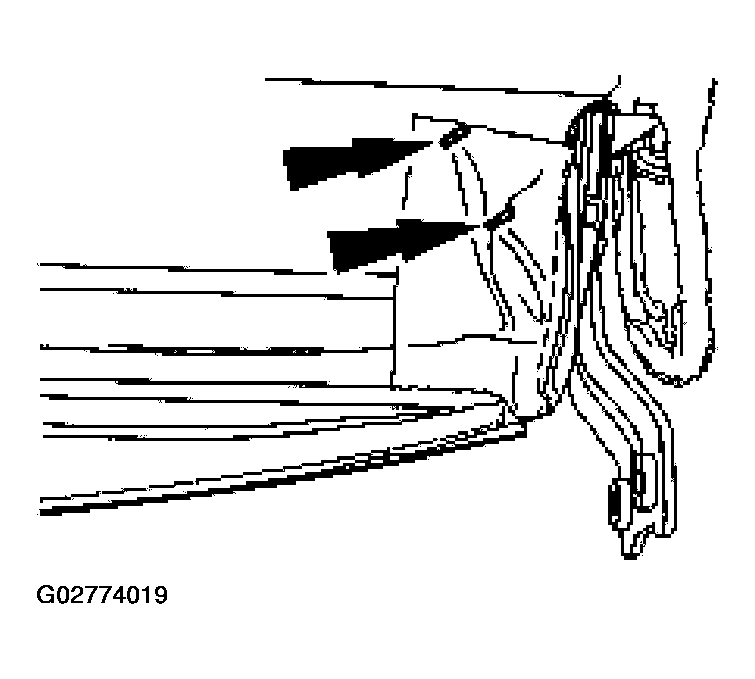 G02774019