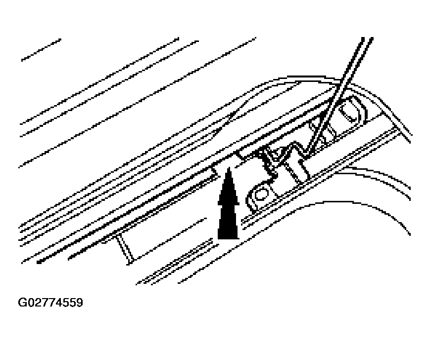 G02774559