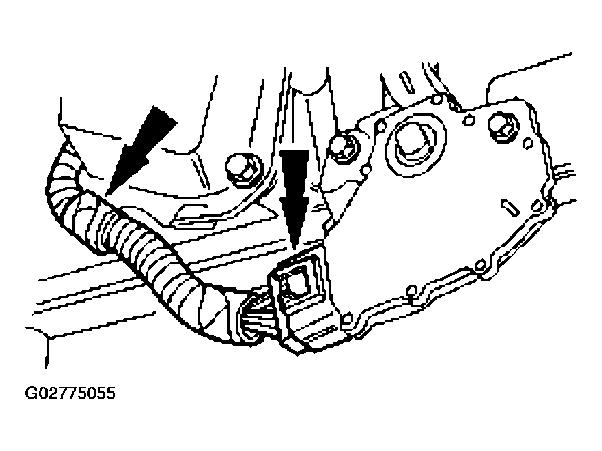 G02775055