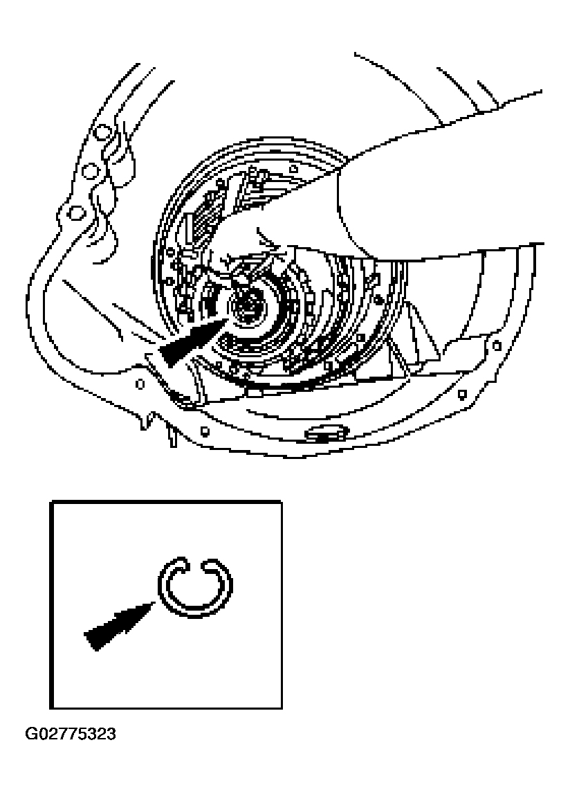 G02775323