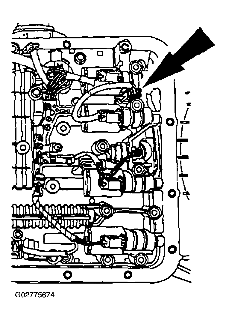 G02775674