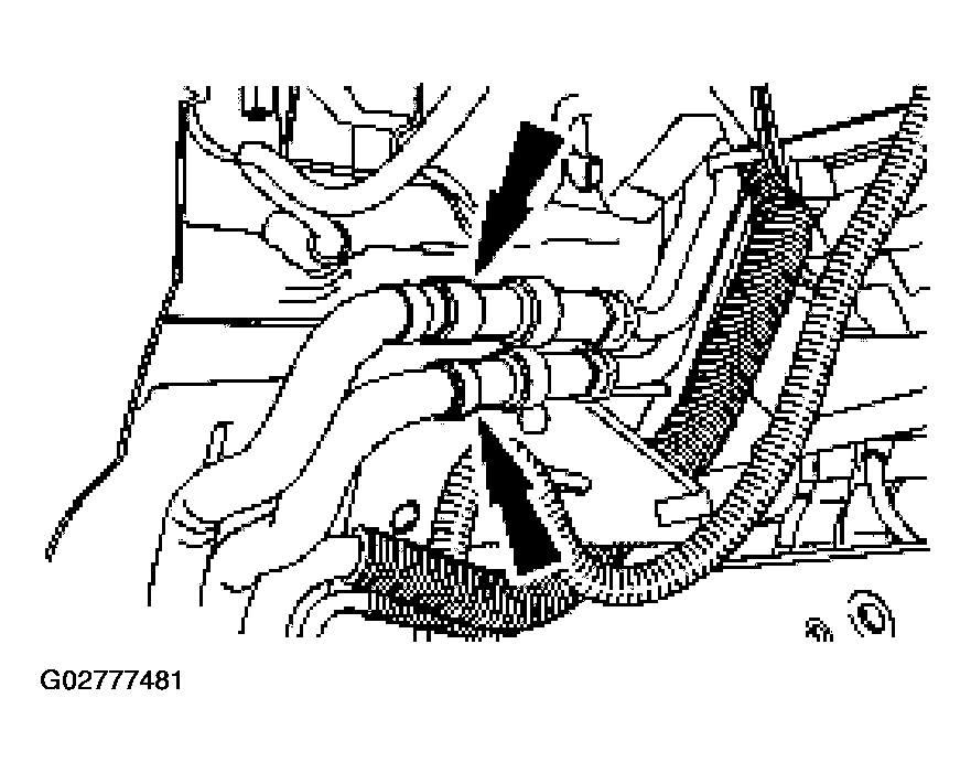 G02777481