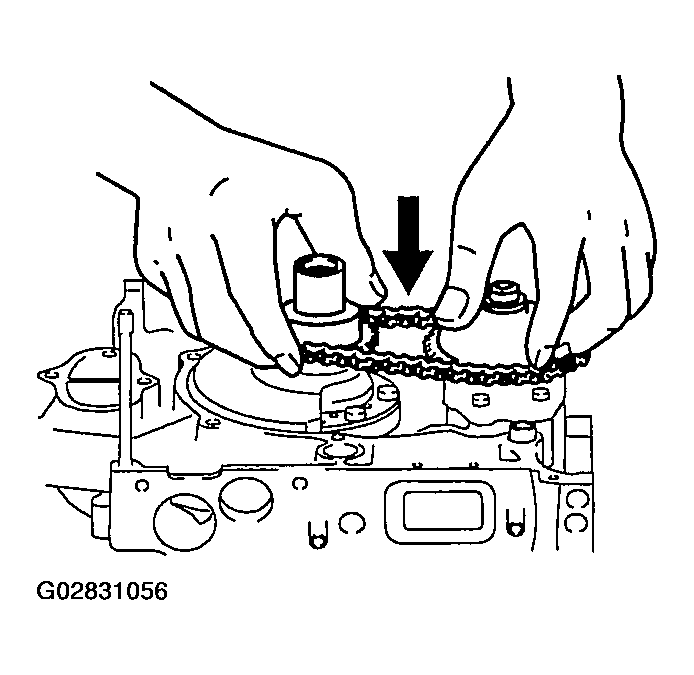 G02831056