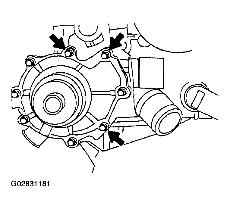 G02831181