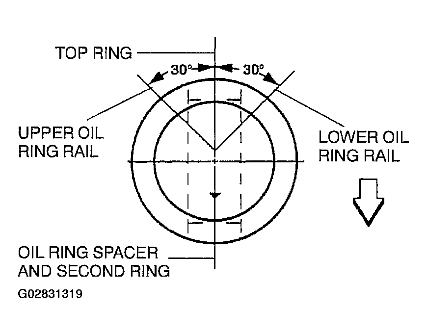 G02831319