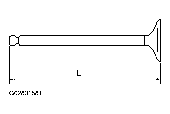G02831581
