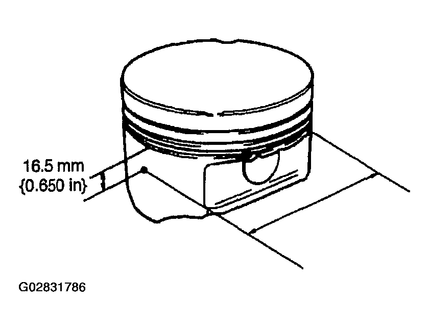 G02831786