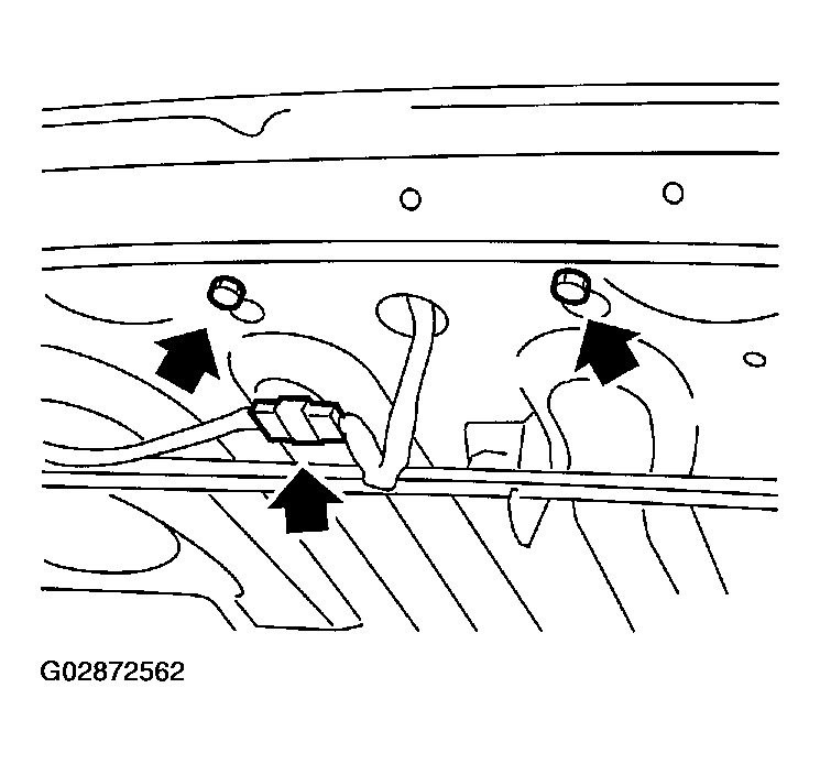 G02872562