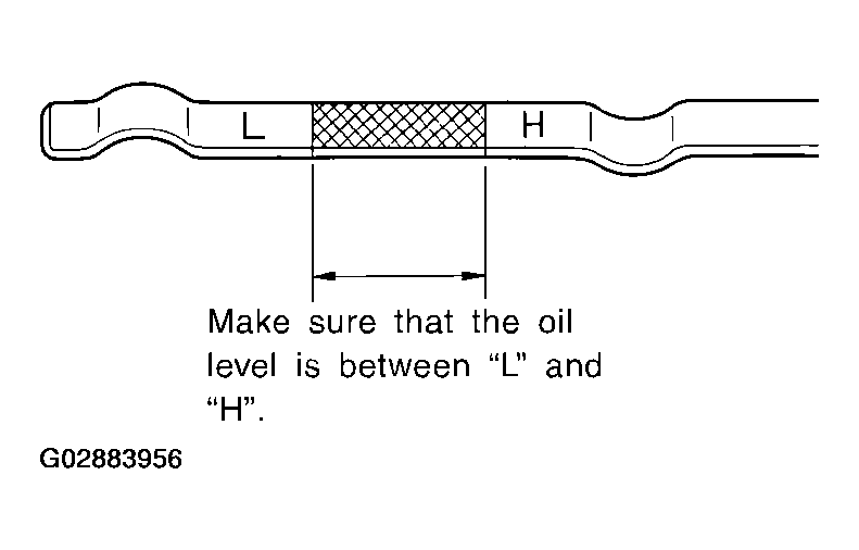 G02883956