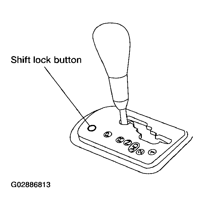 G02886813