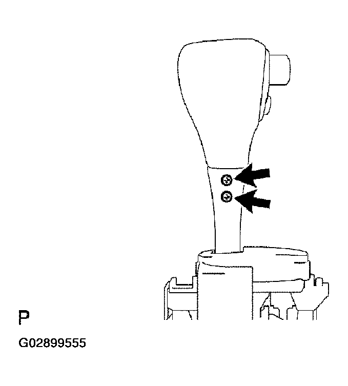G02899555
