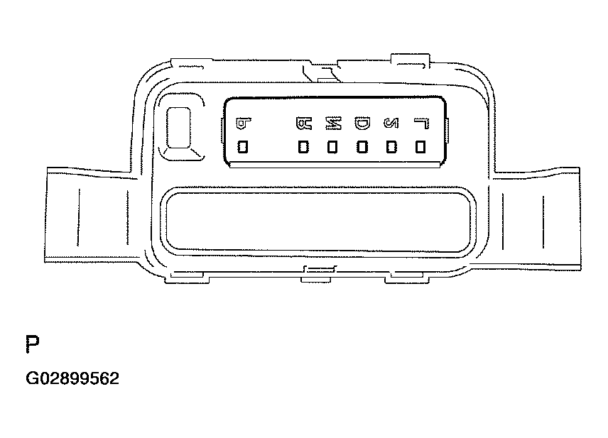 G02899562