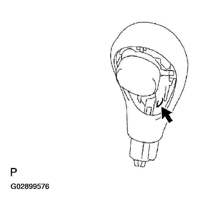 G02899576