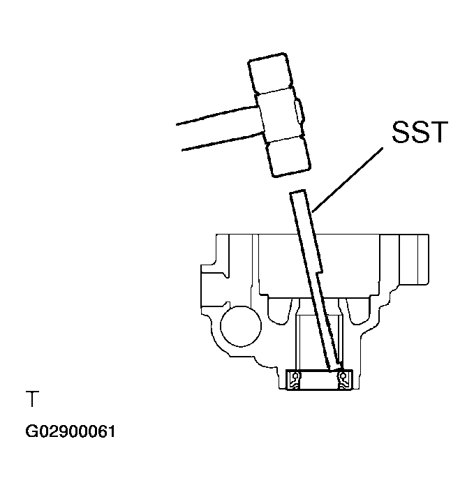 G02900061