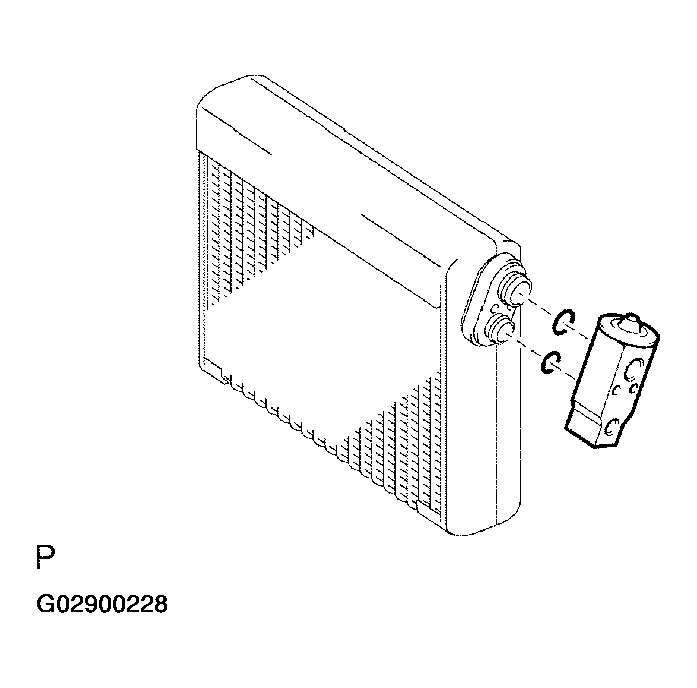 G02900228