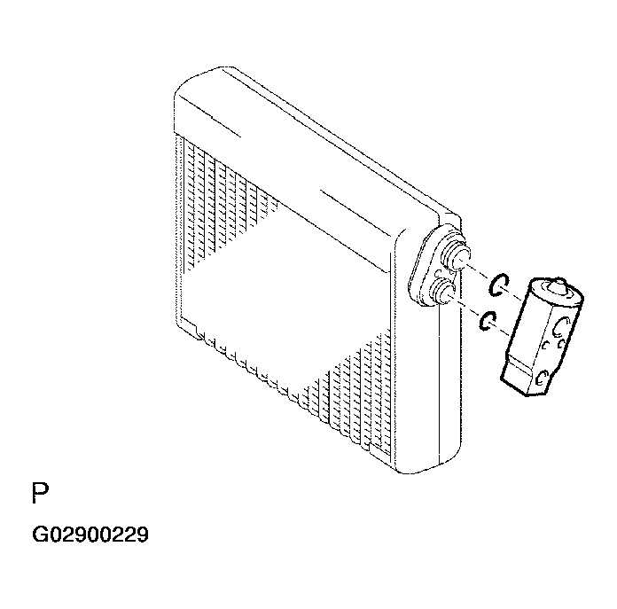 G02900229