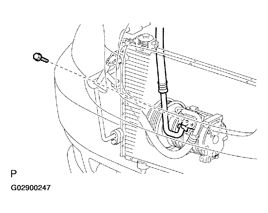 G02900247