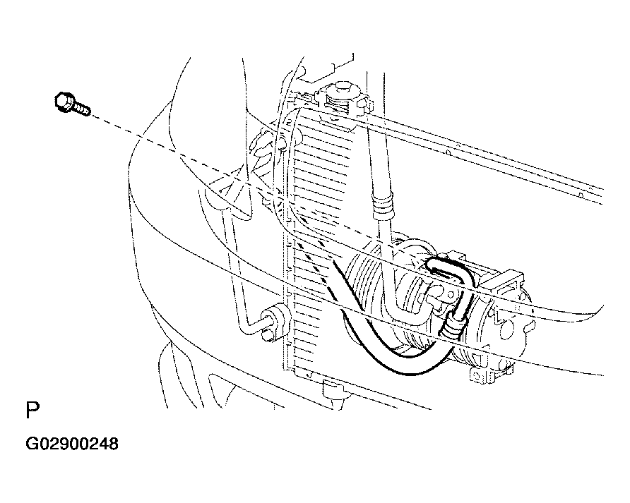 G02900248