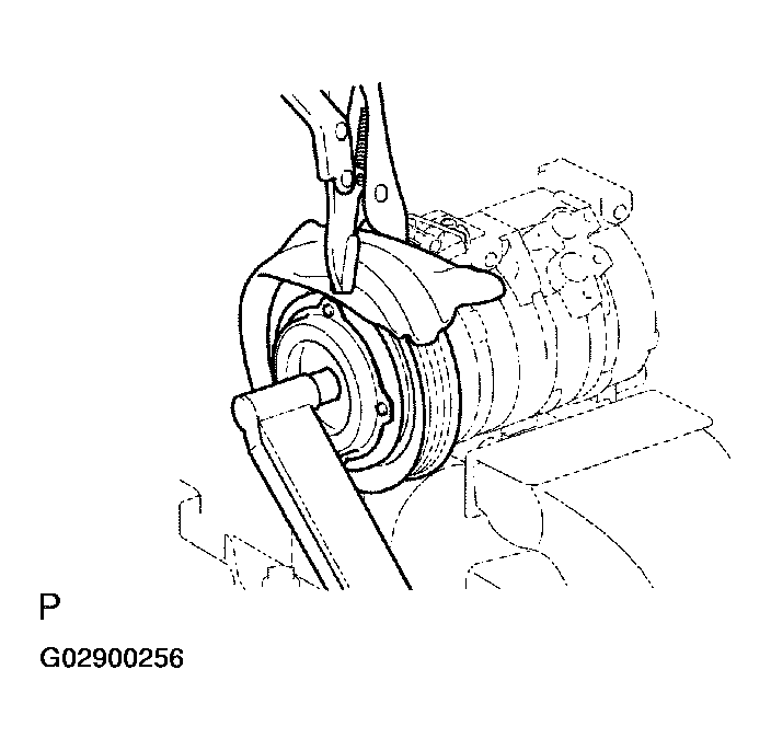 G02900256