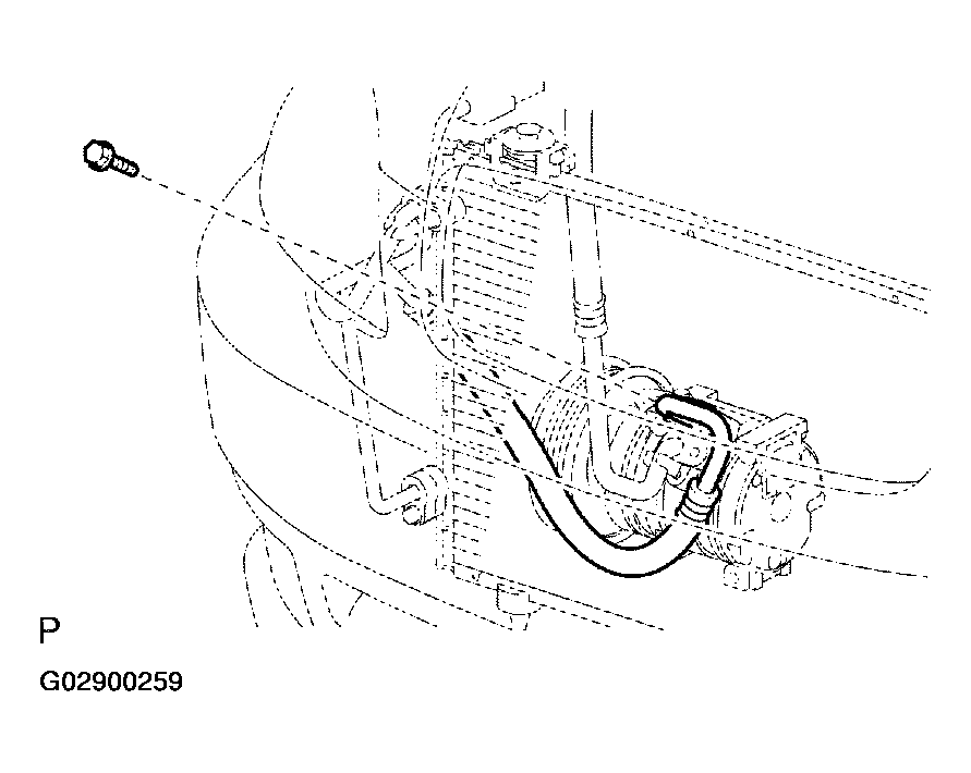 G02900259
