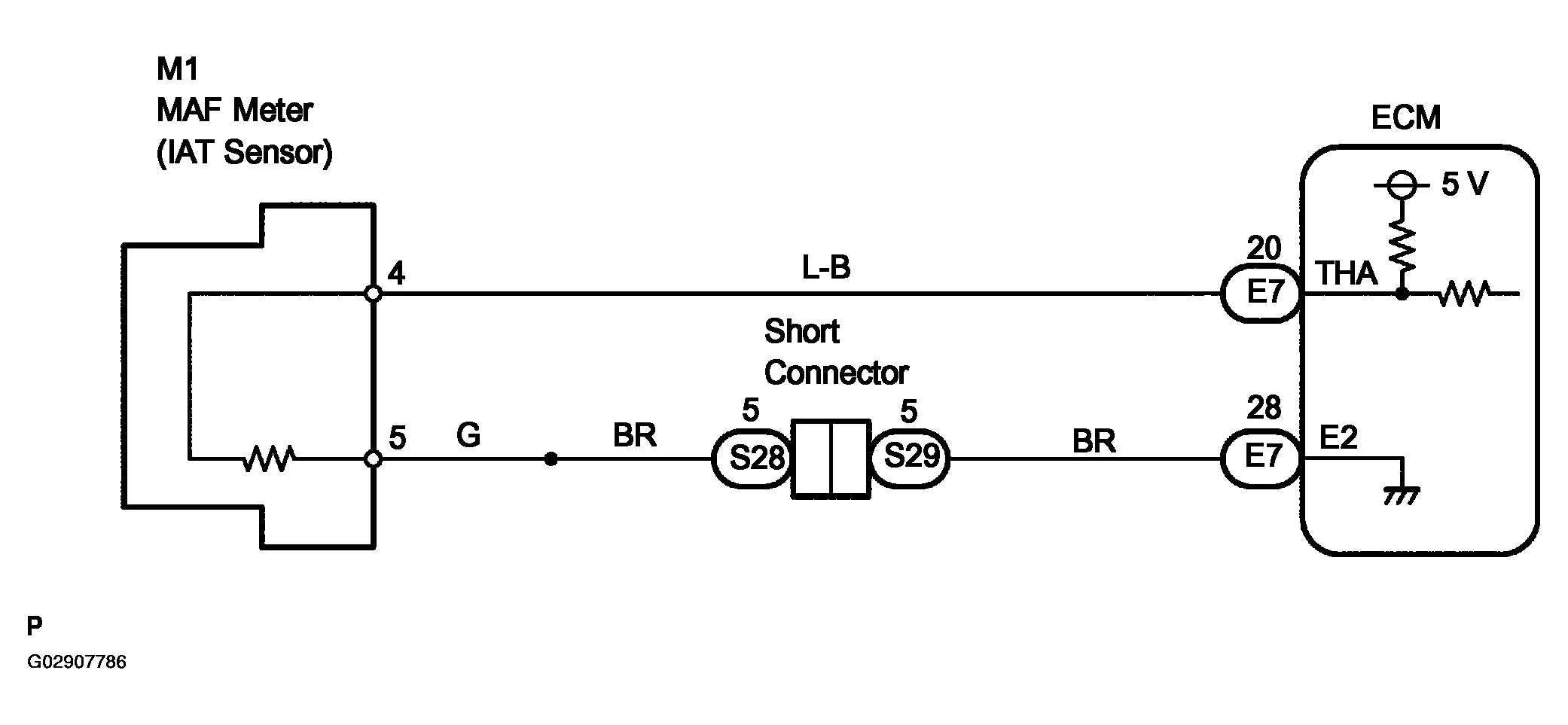 G02907786