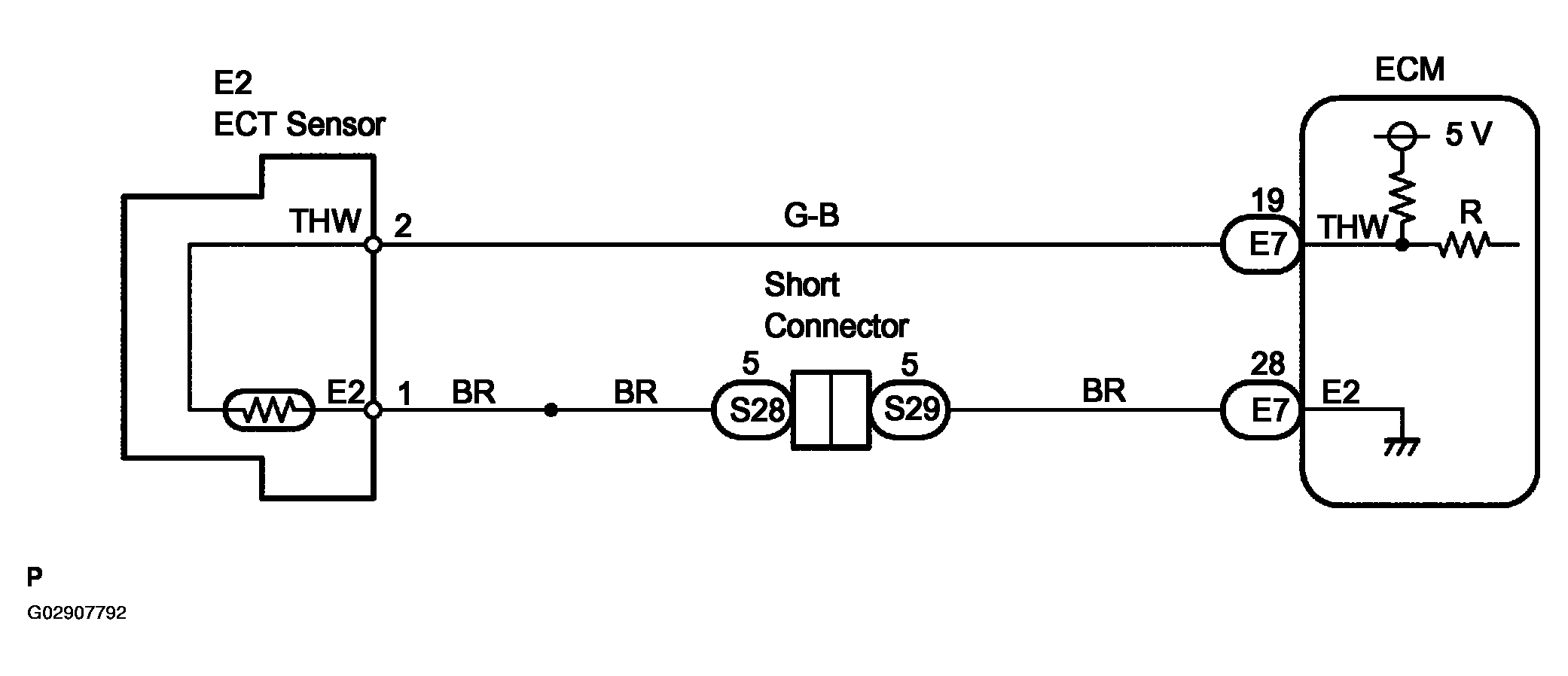 G02907792