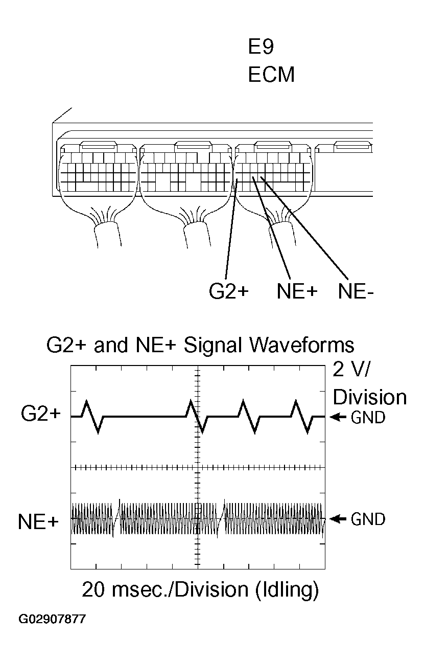 G02907877