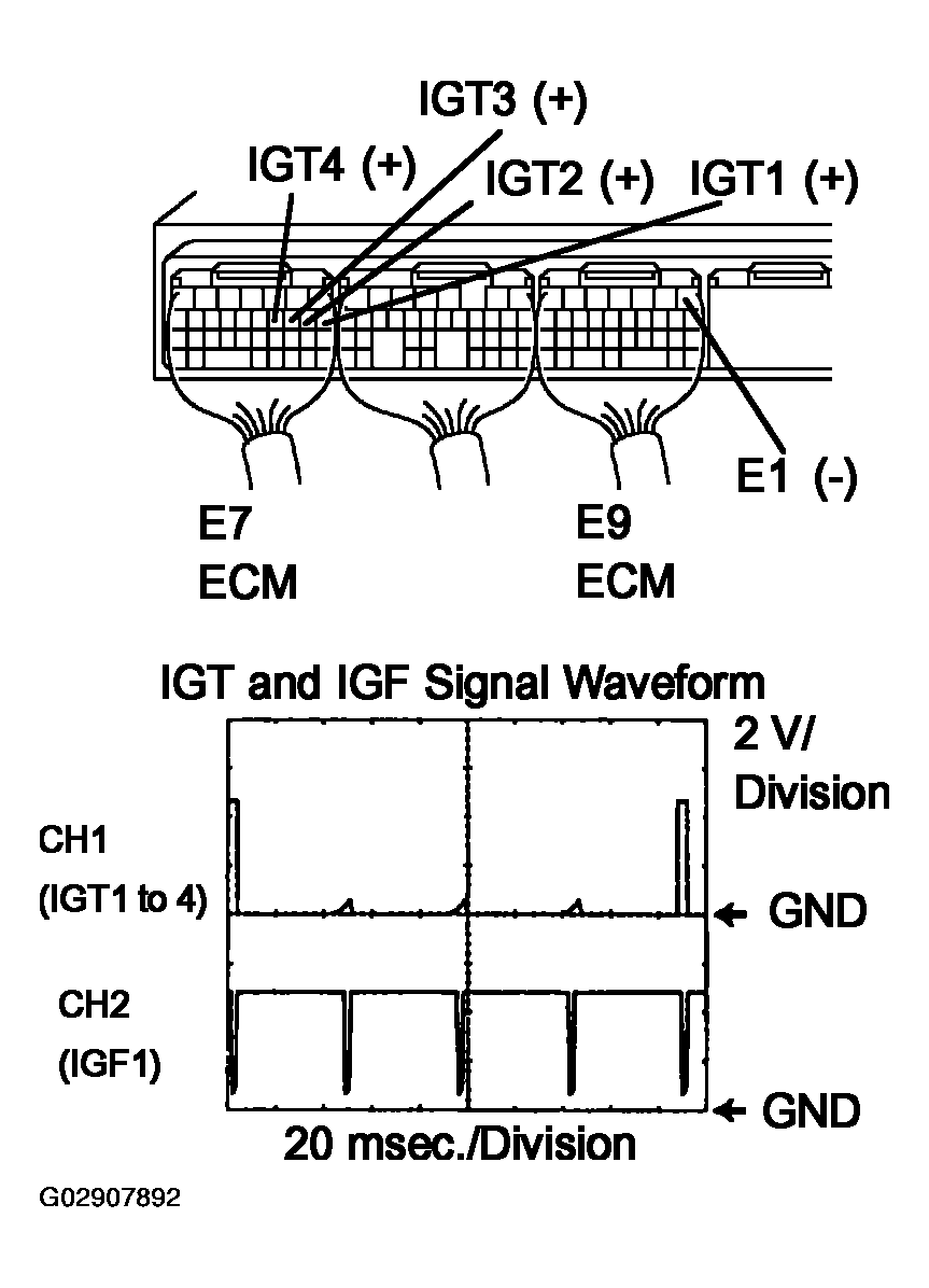 G02907892
