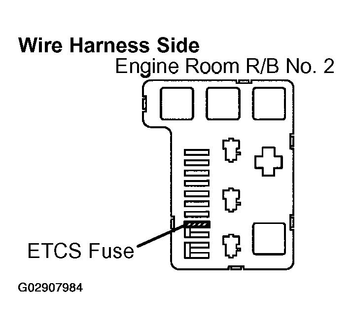 G02907984