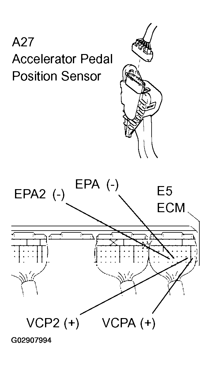 G02907994