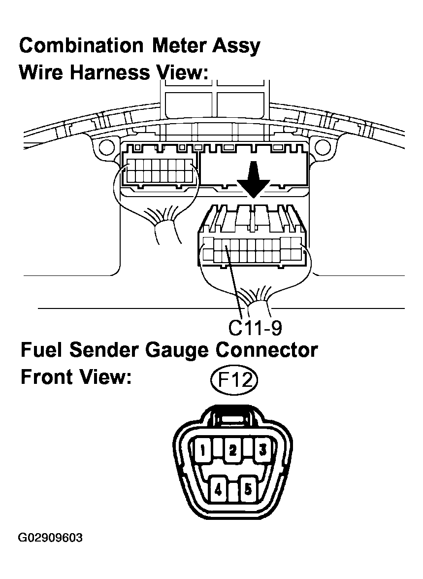 G02909603