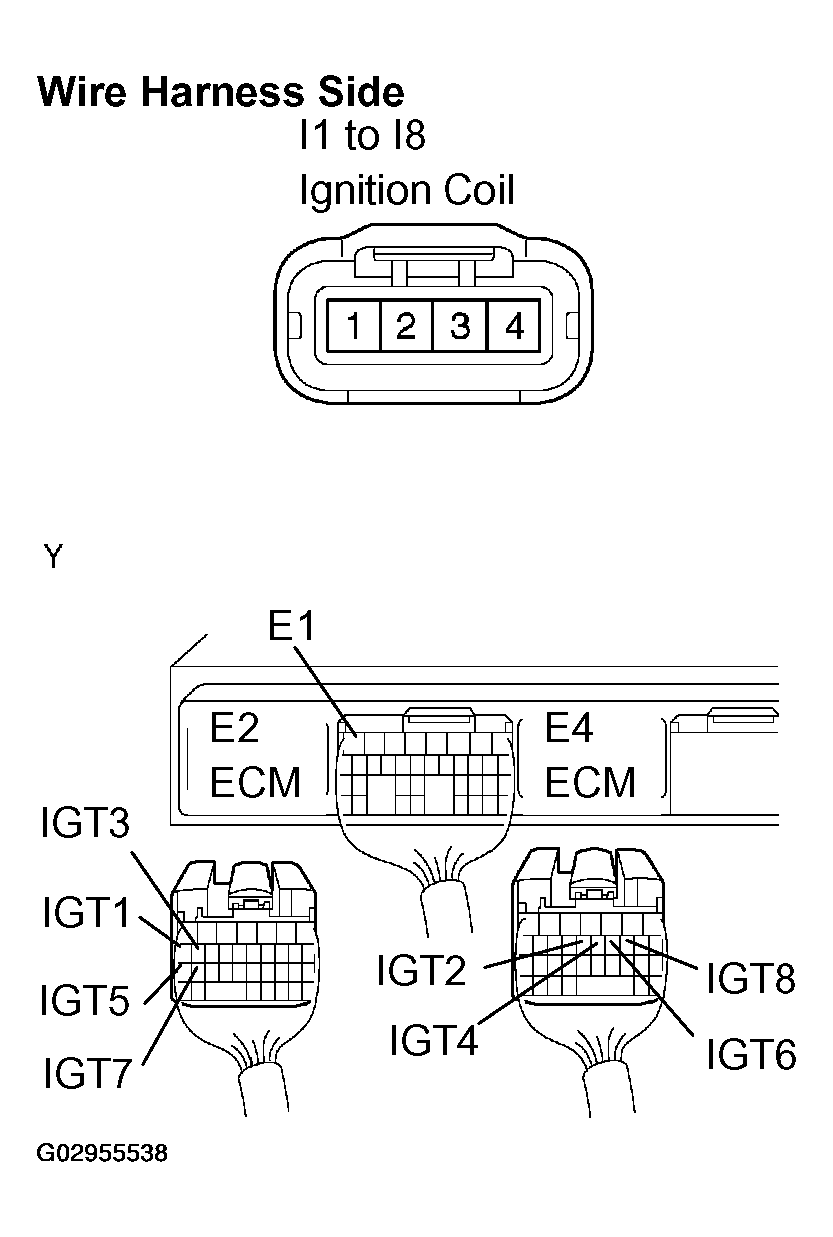 G02955538
