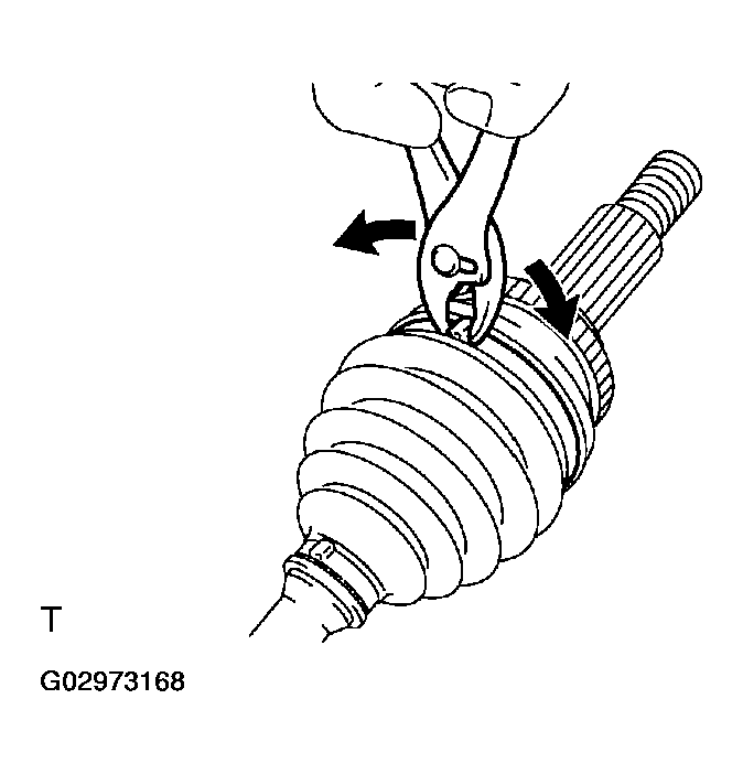 G02973168