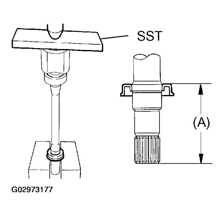 G02973177