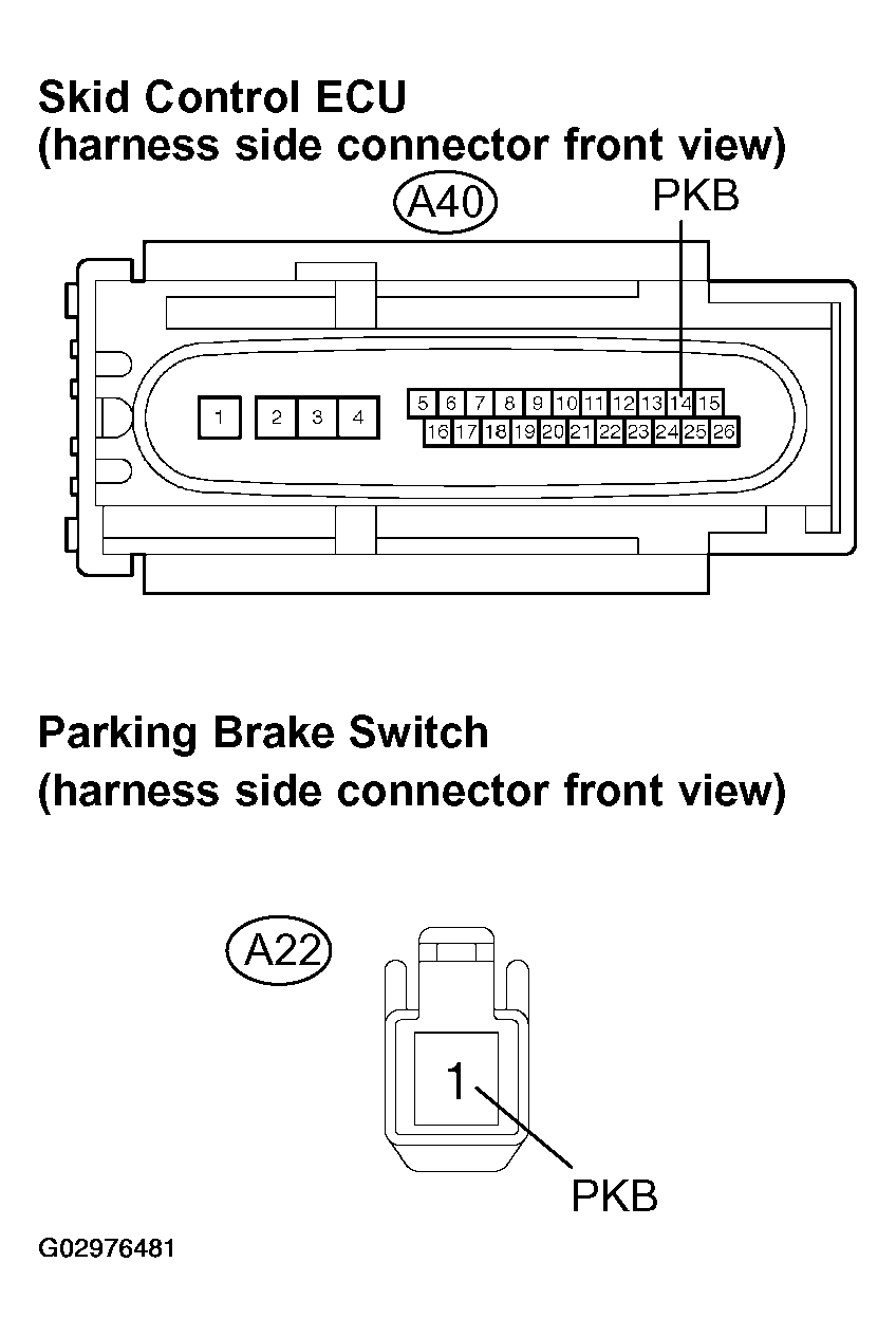 G02976481