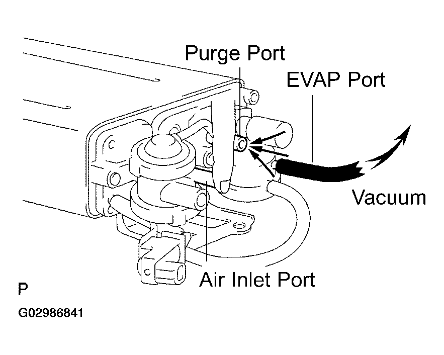 G02986841