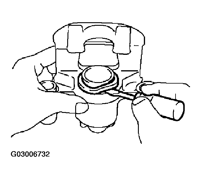 G03006732