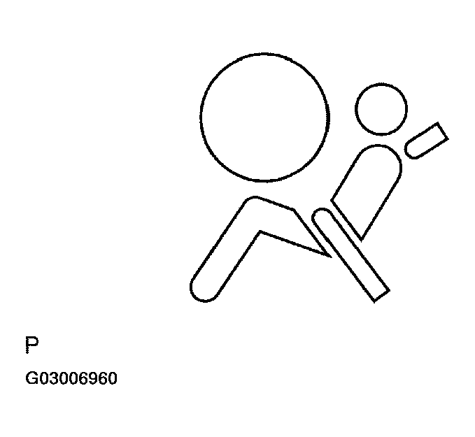 G03006960