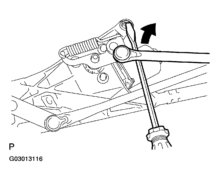 G03013116