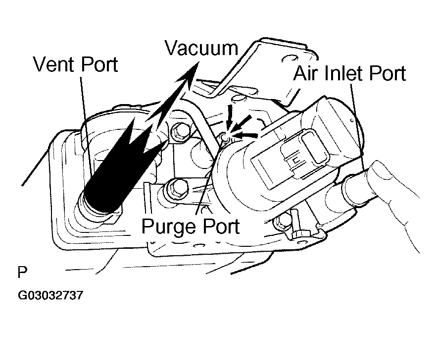 G03032737