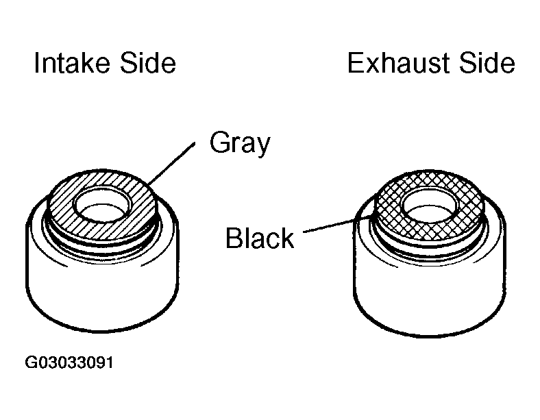 G03033091