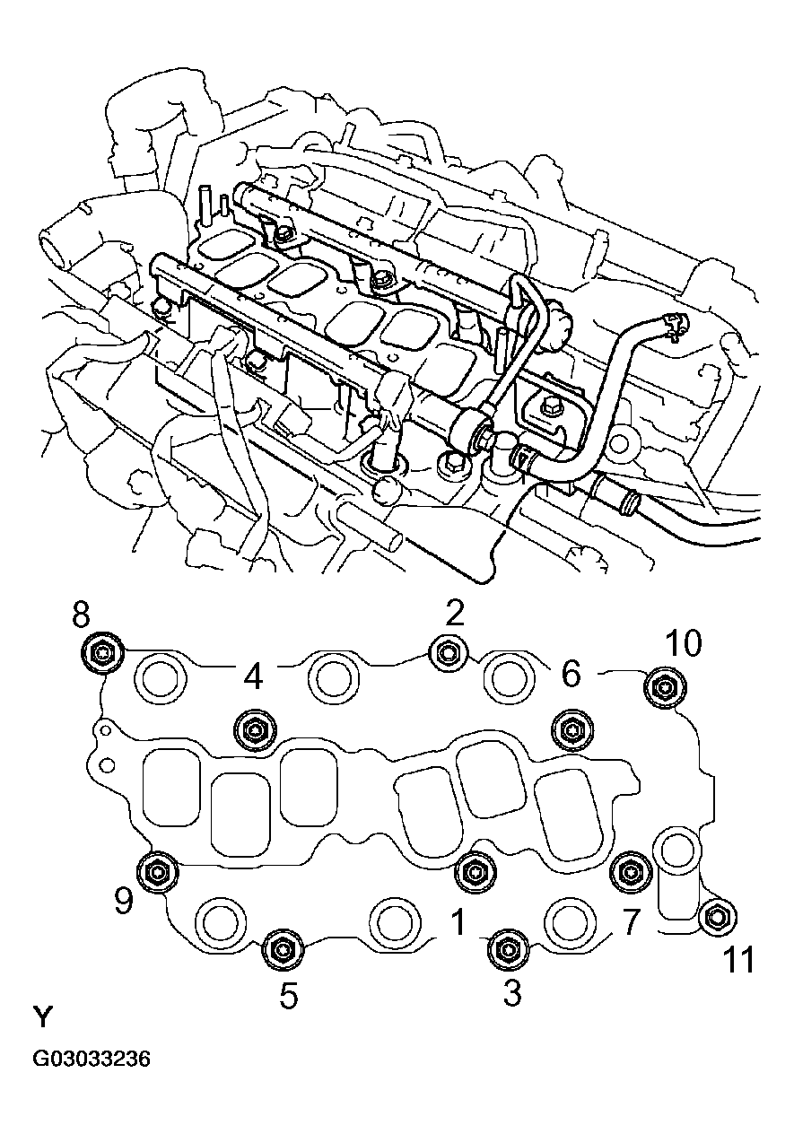 G03033236