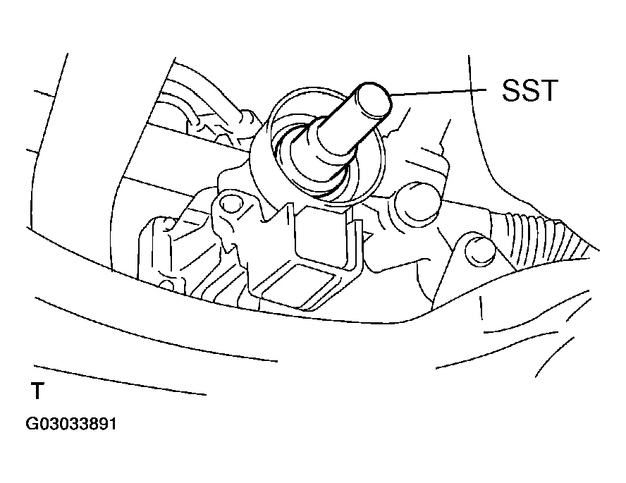 G03033891