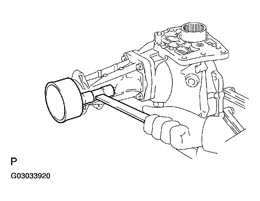 G03033920