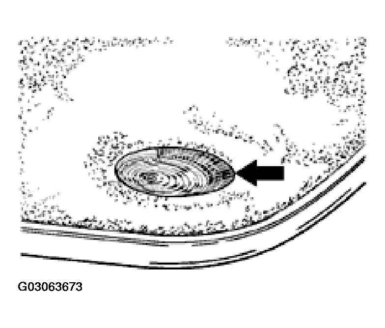 G03063673