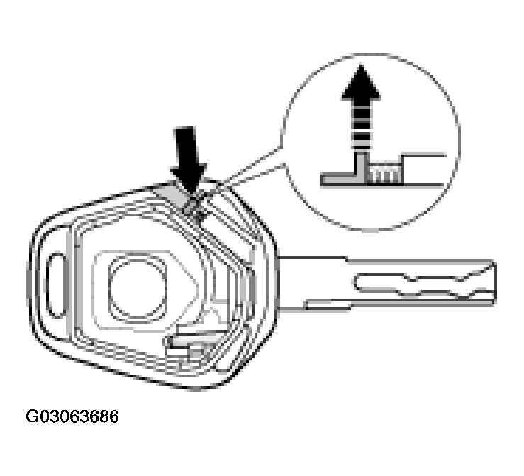 G03063686
