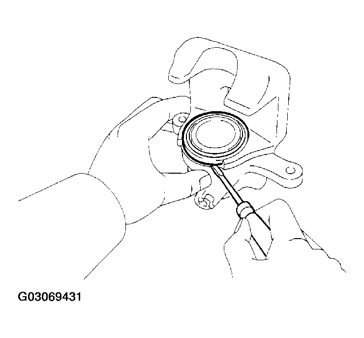 G03069431