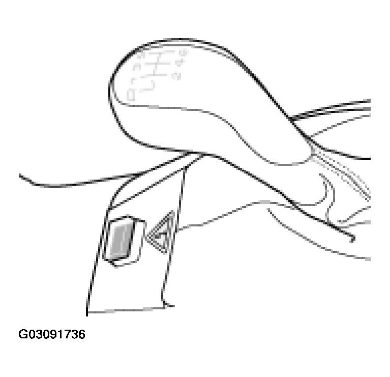 G03091736