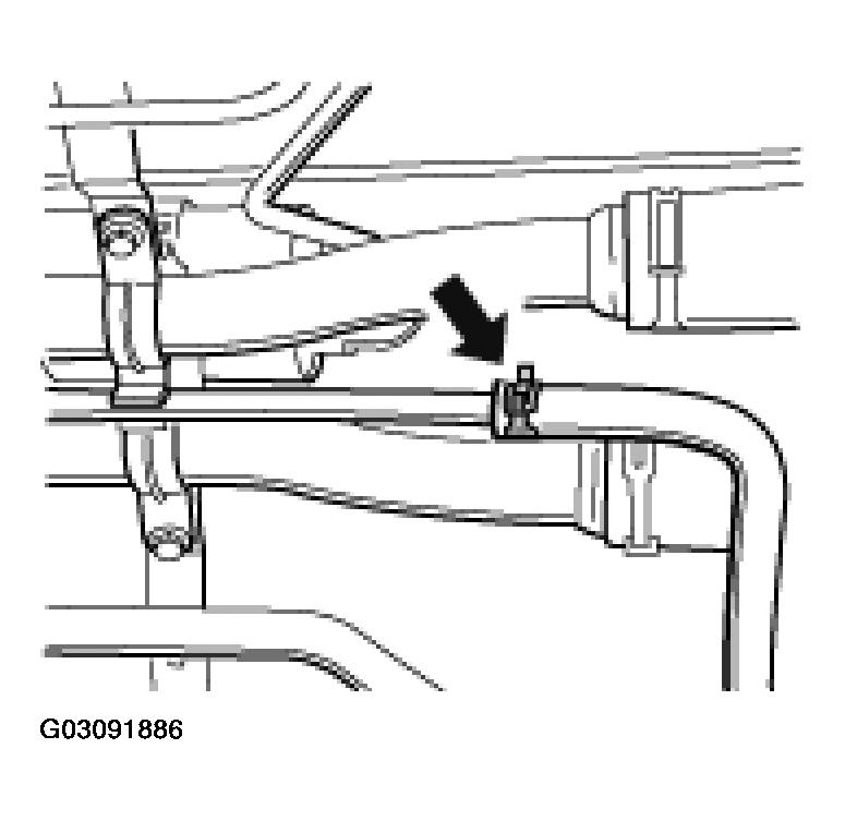 G03091886