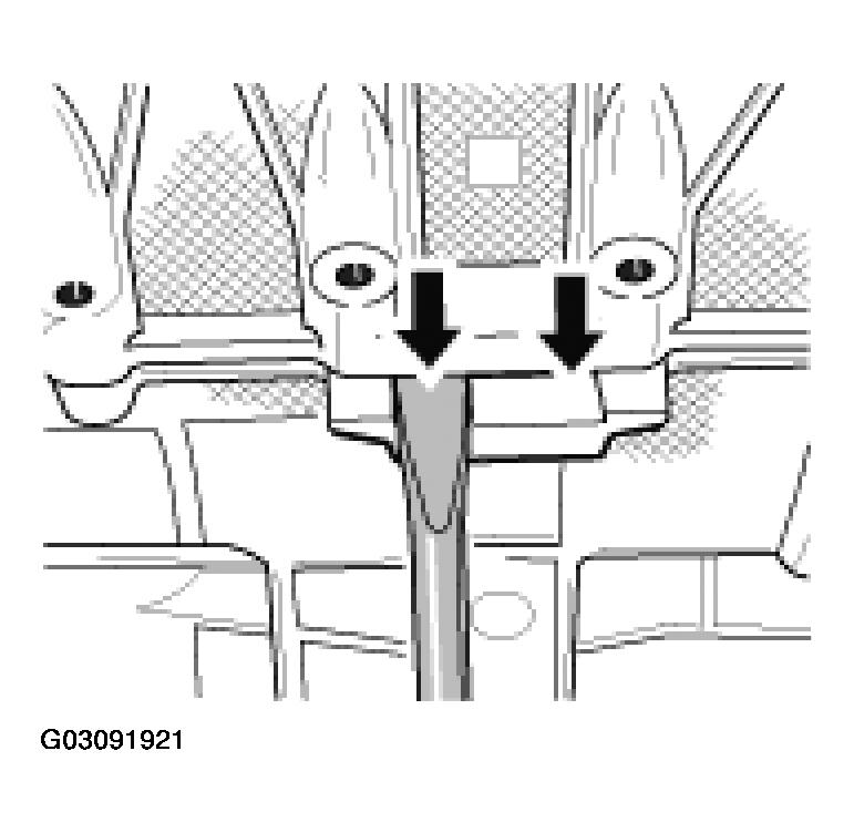 G03091921